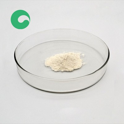 Factory directly sell rubber scorch retarder ctp Guadeloupe