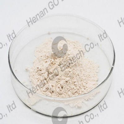 high quality low price in rubber accelerator zbpd zbdc