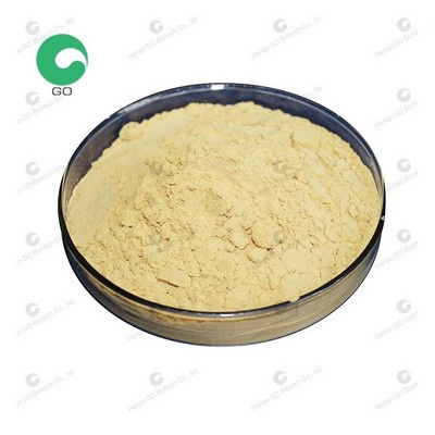 the most hot sale dpg d vulcanizing accelerator France